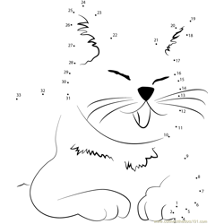 dwarf kitten lil bub cat Dot to Dot Worksheet