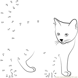 kitten white background Dot to Dot Worksheet