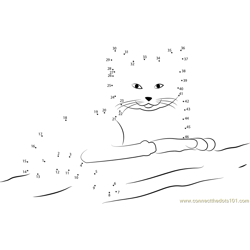 Relax sand cat Dot to Dot Worksheet