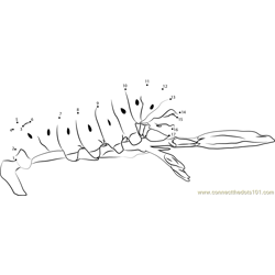 Hawk Moth Caterpillar Dot to Dot Worksheet