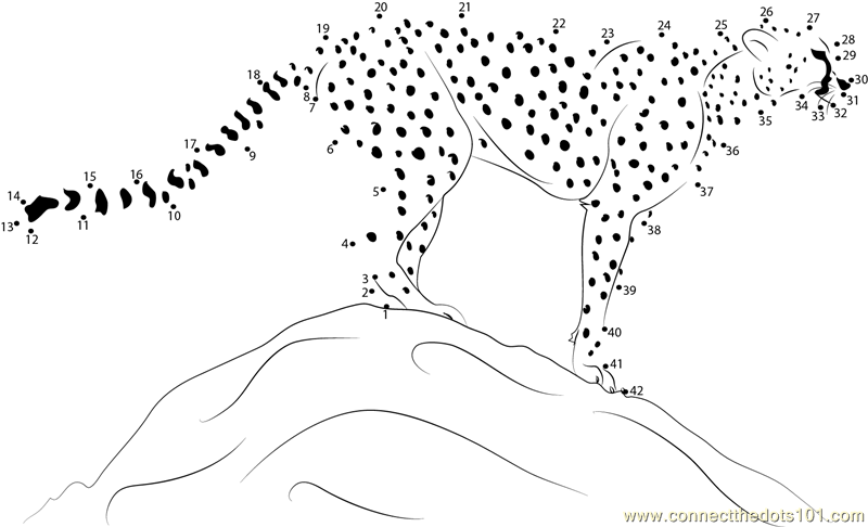 adult-cheetah-standing-dot-to-dot-printable-worksheet-connect-the-dots for Free Printable Dot To Dots For Adults Adult Cheetah Standing dot to dot printable worksheet - Connect The Dots for Free Printable Dot To Dots For Adults