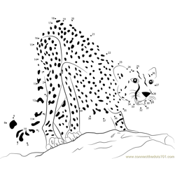 Adult Cheetah Dot to Dot Worksheet
