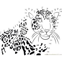 Fast Runner Cheetah Dot to Dot Worksheet