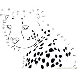 Power Of Cheetah Dot to Dot Worksheet
