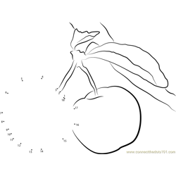 Cherries Dot to Dot Worksheet