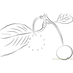 Cherries on Tree Dot to Dot Worksheet