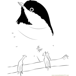 Chickadee Bird Dot to Dot Worksheet