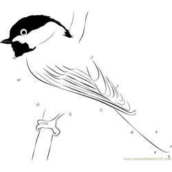North American Bird Chickadee Dot to Dot Worksheet