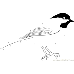The Black Capped Chickadee Dot to Dot Worksheet