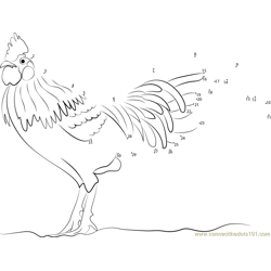 Chicken on Walking Short Dot to Dot Worksheet