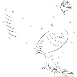 Chickens are always Looking Dot to Dot Worksheet