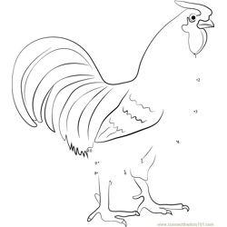 Colourful Chicken Dot to Dot Worksheet