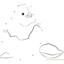 Birds Chick Coming Out of His Shell Dot to Dot Worksheet