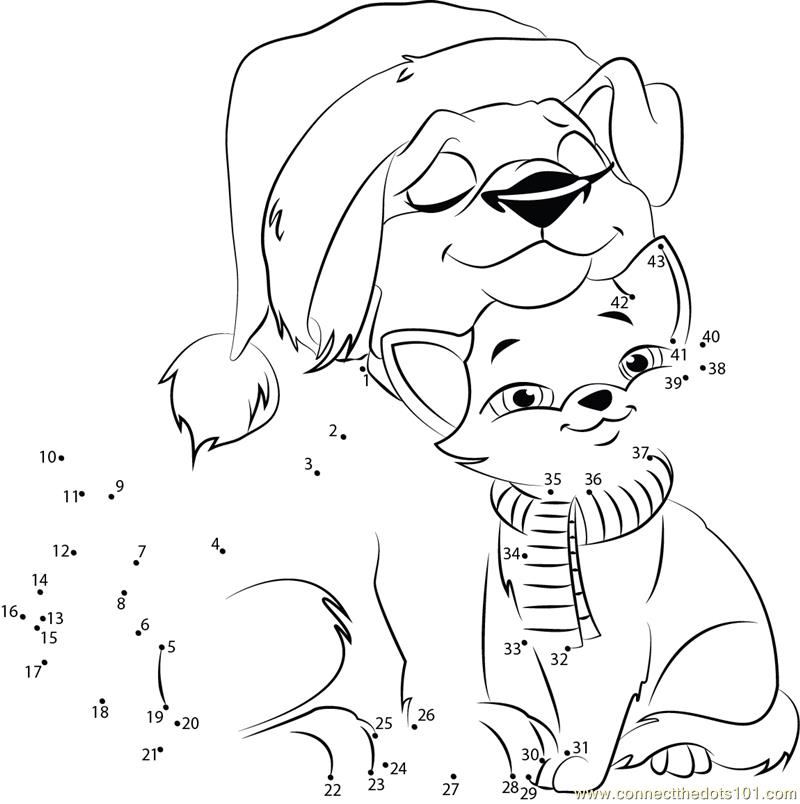 Cat and Dog celebrating Christmas