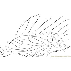 Cicada In the Early Spring Dot to Dot Worksheet