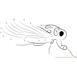 Cicada Pia Dot to Dot Worksheet