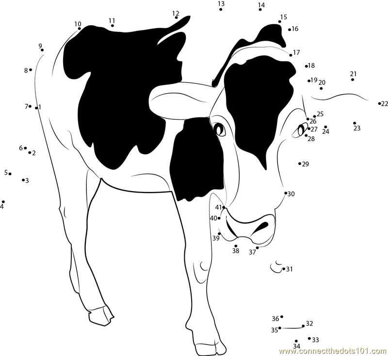 Black and White Milk Cow