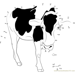 Black and White Milk Cow Dot to Dot Worksheet