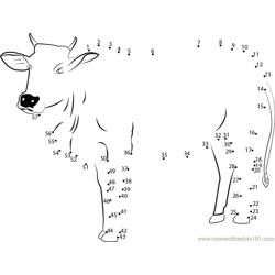Sweet Cow  Dot to Dot Worksheet