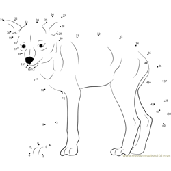 Baby Coyote Dot to Dot Worksheet