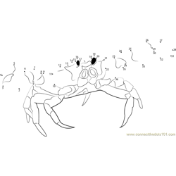 Crab on Beach Dot to Dot Worksheet