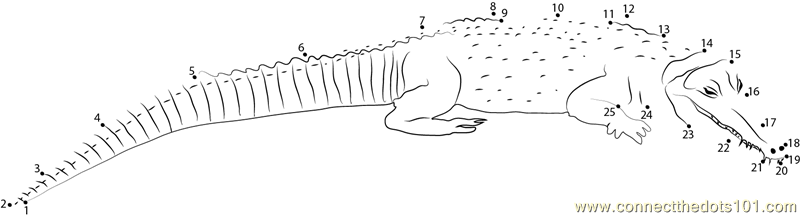 Snouted Crocodile