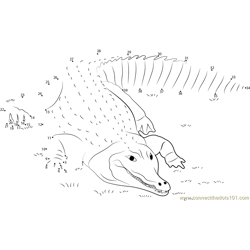 Crocodile Lying on the Grass Dot to Dot Worksheet