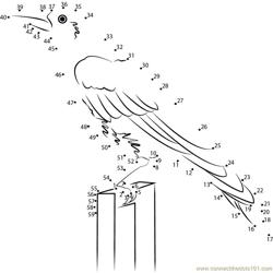 Scary Crow Dot to Dot Worksheet