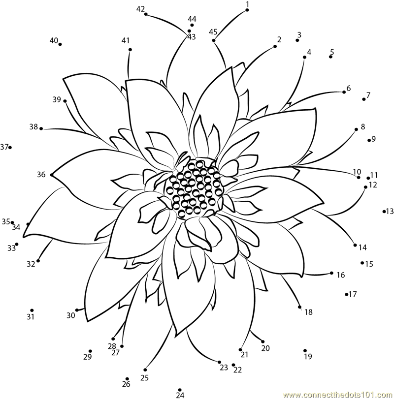 dahlia-flower-dot-to-dot-printable-worksheet-connect-the-dots