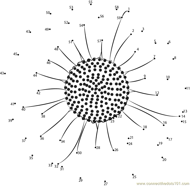 Daisy dot to dot printable worksheet - Connect The Dots