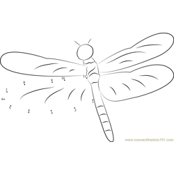 Dragonfly Dot to Dot Worksheet