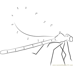 Red and Black Damselfly Dot to Dot Worksheet