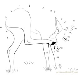 Male Key Deer Dot to Dot Worksheet