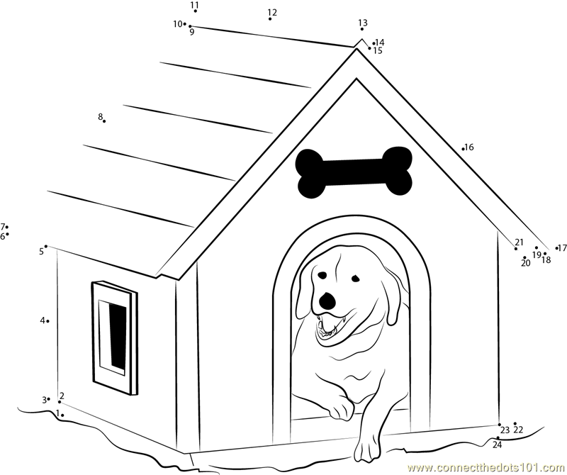 Custom Dog Kennels House
