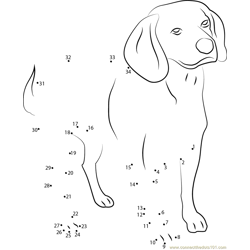 Beagle English Purebred Dog Dot to Dot Worksheet