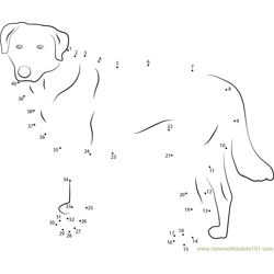 Cute Anatolian Shepherd Dog Dot to Dot Worksheet
