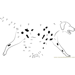 Dalmatian Dog Dot to Dot Worksheet