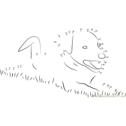 Dog Eat Grass Dot to Dot Worksheet