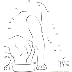 Dog Eating Stainless steel Bowl Dot to Dot Worksheet