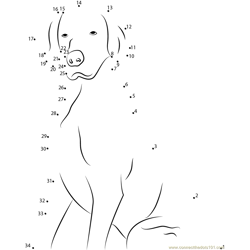 Dog In Nervous Mood Dot to Dot Worksheet