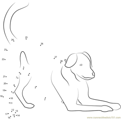 Dog Play Bow Dot to Dot Worksheet