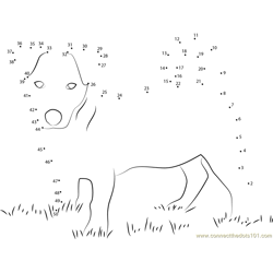 Dog With Up Dot to Dot Worksheet