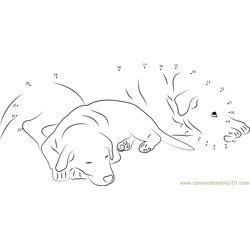 Dogs are Sleeping Dot to Dot Worksheet
