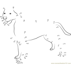 Greater Swiss Mountain Dog Dot to Dot Worksheet