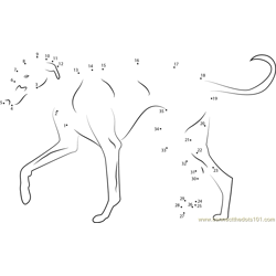 Greyhound Dot to Dot Worksheet