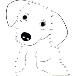 Innocent Dog Dot to Dot Worksheet