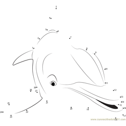 Dolphin Close Up Dot to Dot Worksheet
