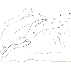 Hector Dolphin Dot to Dot Worksheet