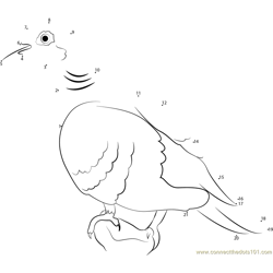 Very Beautiful Dove Bird Dot to Dot Worksheet