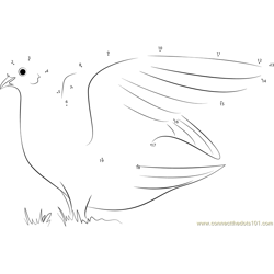 White Dove Ready to Fly Dot to Dot Worksheet